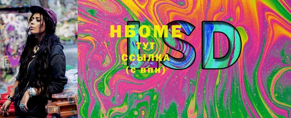 прущие грибы Ладушкин