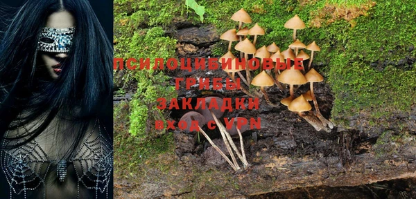 ALPHA PVP Лиски