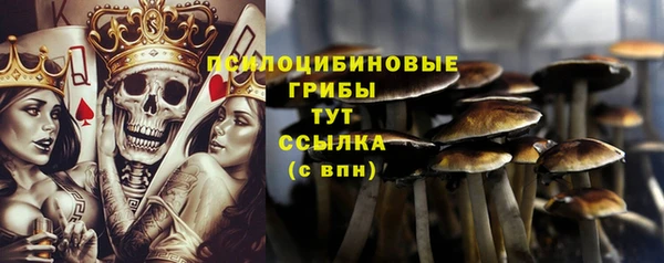 мдма Рославль
