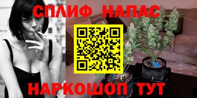 трава Камышлов